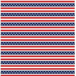 Printed HTV - #010 American Stars and Stripes