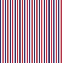Printed HTV - #015 American Stripes