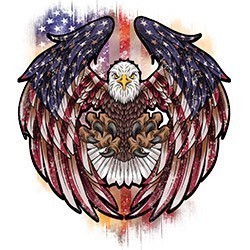 #0191 - USA Eagle