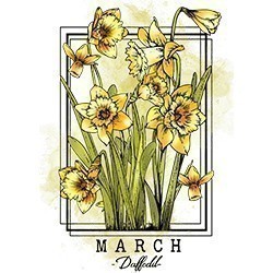 #0211 - March Daffodil