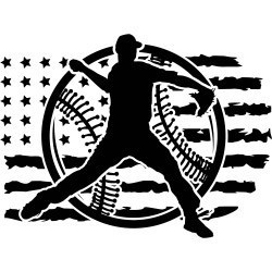 #0229 - US Flag Baseball