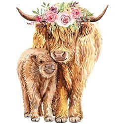 #0414 - Highland Cow and Calf