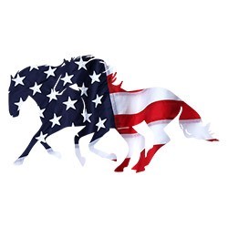 #0552 - US Horses