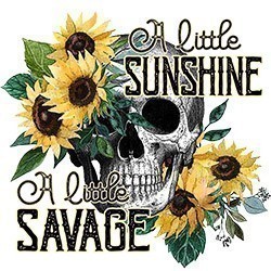 #0734 - Sunshine & Savage