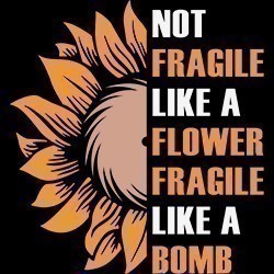 #0869 - Fragile like a Bomb