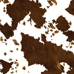 Printed Pattern HTV - #136 Real Brown Cowhide