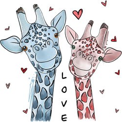 #1472 - Giraffe Love
