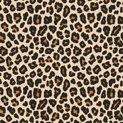 Adhesive #307 Leopard Spots