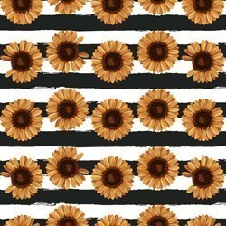 Adhesive Clear Cast - #004 Sunflower Stripes