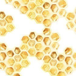 Adhesive Clear Cast - #027 Honeycomb