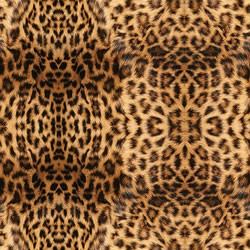 Patterned - #191 Real Leopard