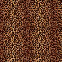 Adhesive #006 Leopard