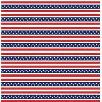 Adhesive  #010 American Stars and Stripes