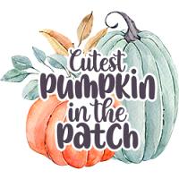 #1051 - Cutest Pumpkin in the Patch
