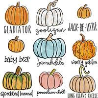 #1058 - Pumpkin Varieties