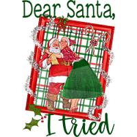 #1249 - Dear Santa, I Tried