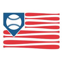 #0155 - Baseball Flag