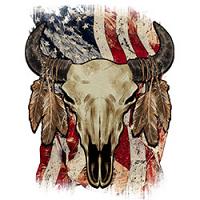 #0160 - Buffalo Skull USA