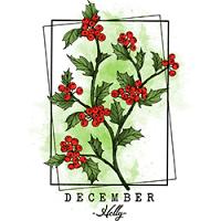 #0203 - December Holly