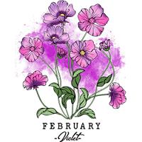 #0204 - February Violet