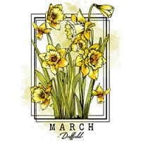 #0211 - March Daffodil