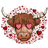 #1452 - Valentine Heart Cow