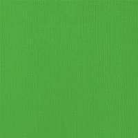 American Crafts Weave Cardstock - Grass 12" x 12" Sheet