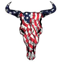 #0383 - American Cow Skull