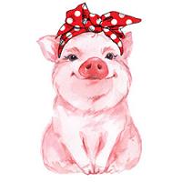 #0413 - Bandana Pig