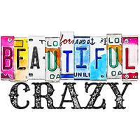 #0475 - Beautiful Crazy