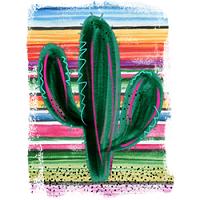#0495 - Serape Cactus