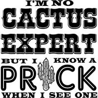 #0597 - Cactus Prick