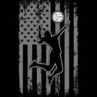 #0714 - USA Flag with Volleyball