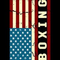 #0790 - Boxing