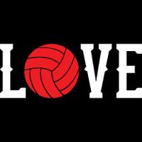 #0865 - Volleyball Love