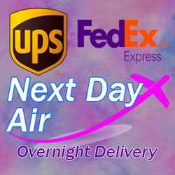 Next Day Air
