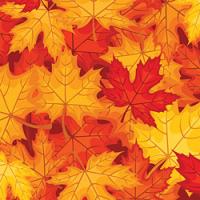 Printed HTV - #004 Fall Leaves