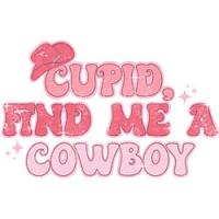 #1546 - Cupid, Find Me A Cowboy