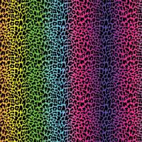 Printed HTV - #184 Rainbow Leopard