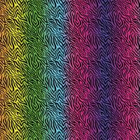 Printed HTV - #183 Rainbow Zebra