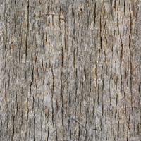  Adhesive  #280 Tree bark 