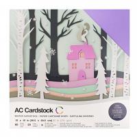 American Crafts Textured Cardstock 60pk - Winter 12"x 12"