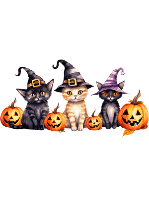 Witches Kitten