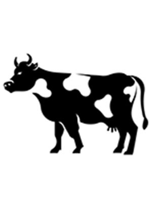 cow cattle silhouette