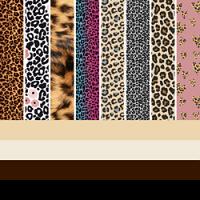 Leopard HTV Color Pack