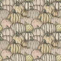 Adhesive #005 Illustrated Pumpkin