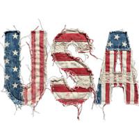 #3394 - Rustic USA