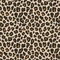 Adhesive #307 Leopard Spots