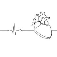Single Heart Line