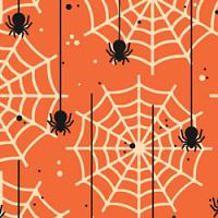 Printed HTV - #356 Spider Webs